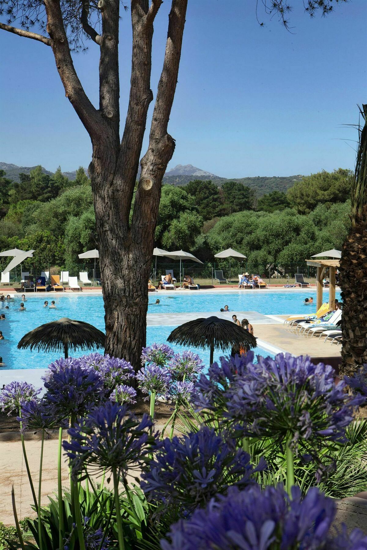 Belambra Clubs Belgodere - Golfe De Lozari Hotell Eksteriør bilde